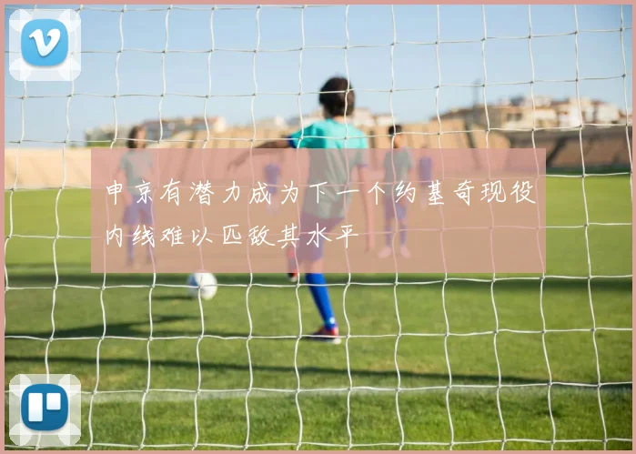 申京有潜力成为下一个约基奇现役内线难以匹敌其水平