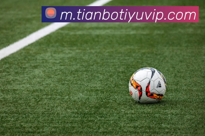 天博体育全站App